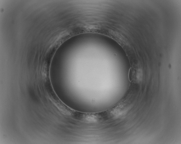 X0000062850710200601131350