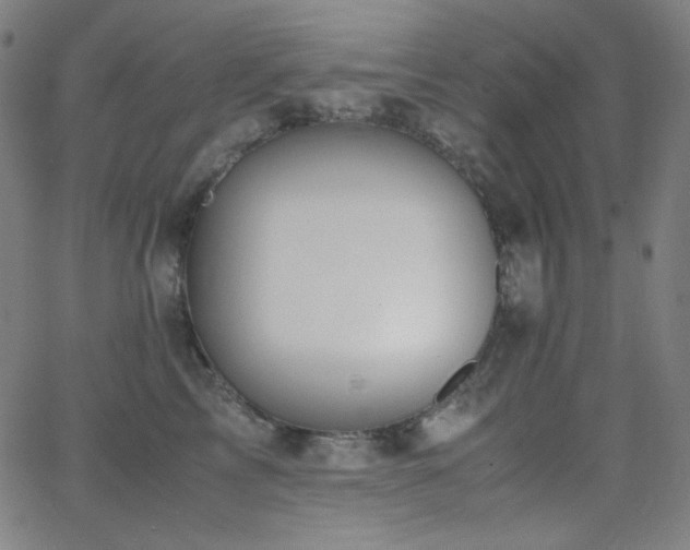 X0000062850713200601131350