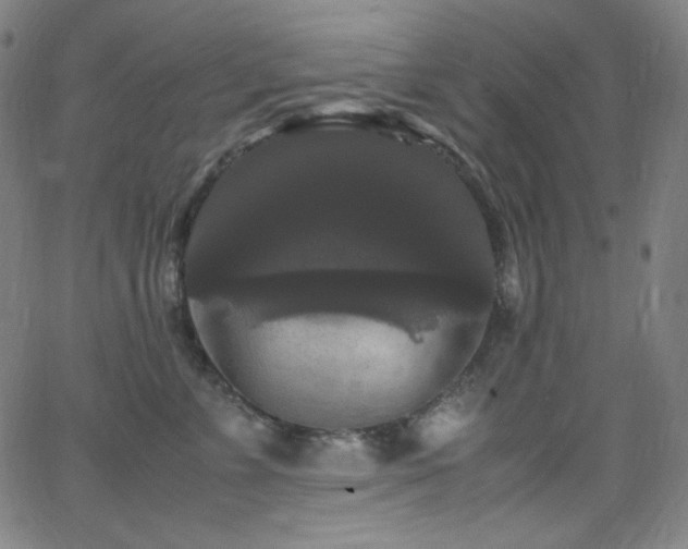 X0000062850715200601131350