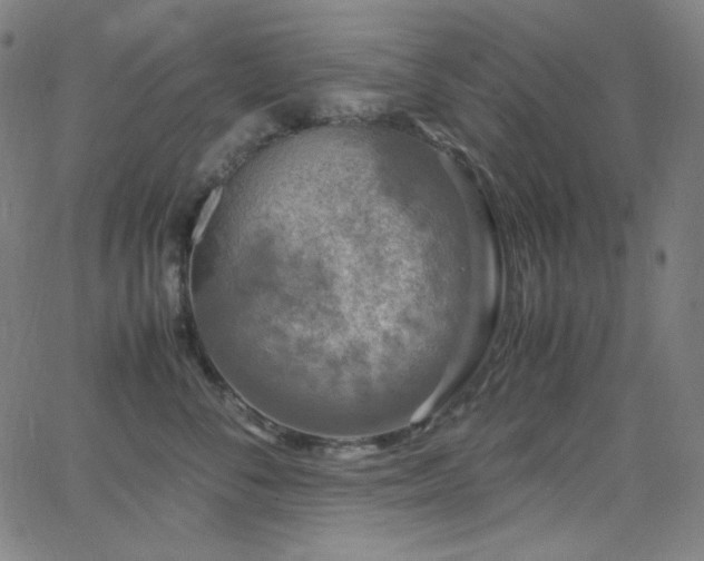 X0000062850716200601131350