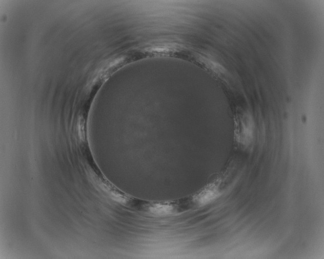 X0000062850718200601131350