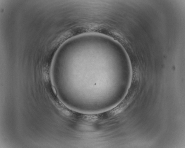 X0000062850719200601131350