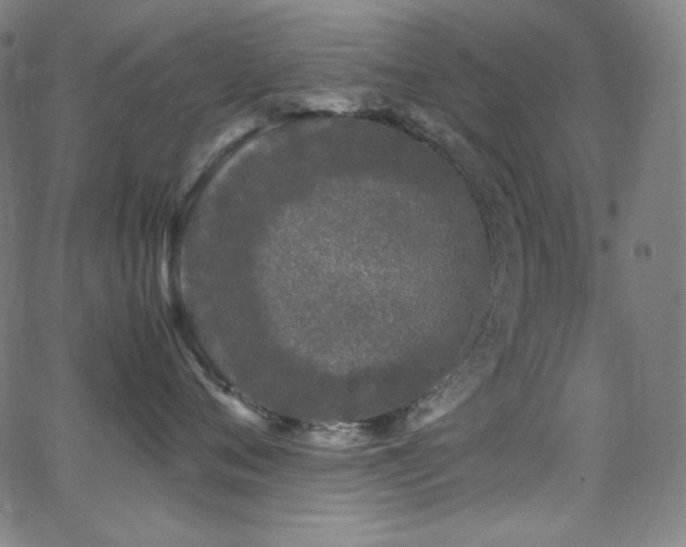 X0000062850720200601131350