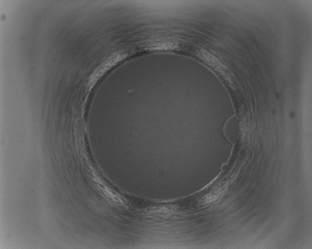 X0000062850721200601131349