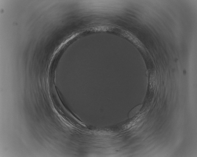 X0000062850722200601131349