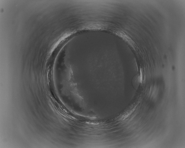 X0000062850723200601131349