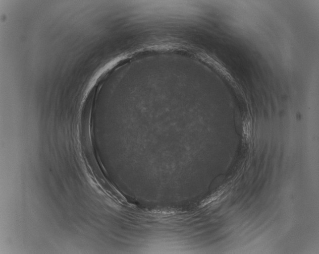 X0000062850724200601131349