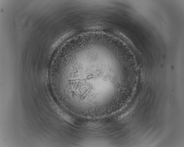 X0000062850725200601131349