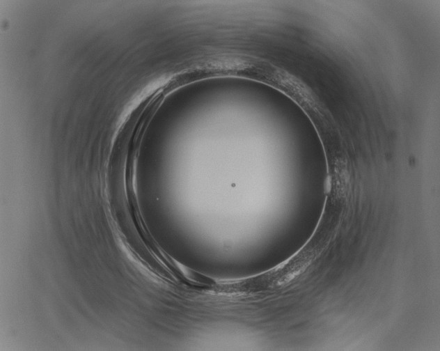 X0000062850726200601131349