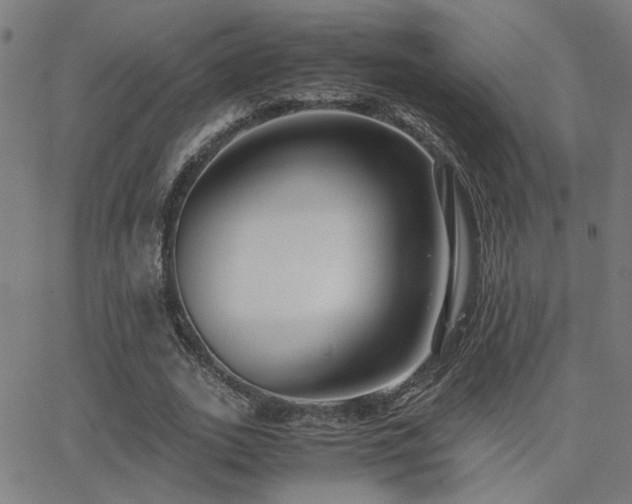 X0000062850727200601131349