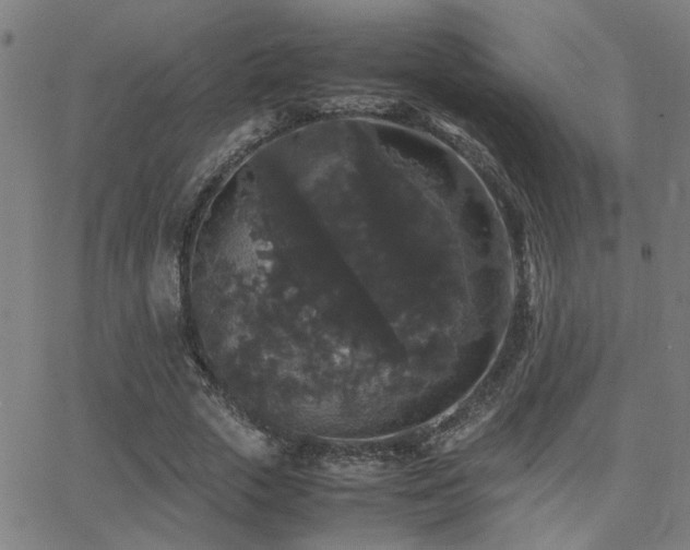 X0000062850729200601131349