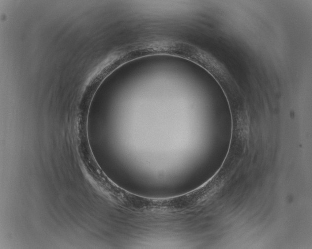 X0000062850730200601131349