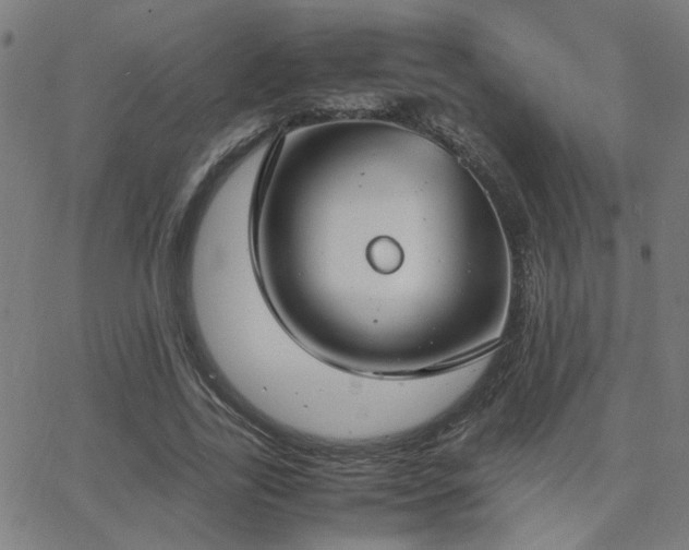 X0000062850731200601131349