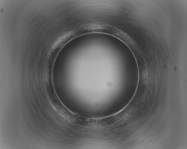 X0000062850732200601131349