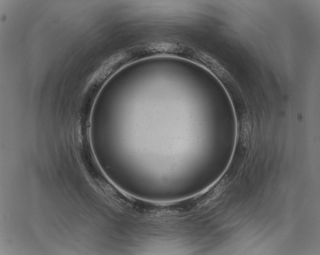 X0000062850734200601131349