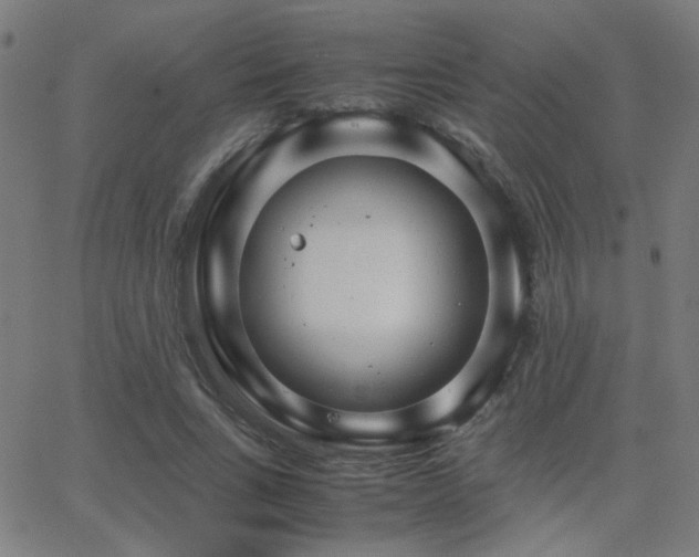 X0000062850735200601131349