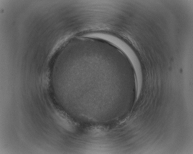 X0000062850736200601131349