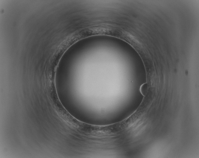 X0000062850737200601131349