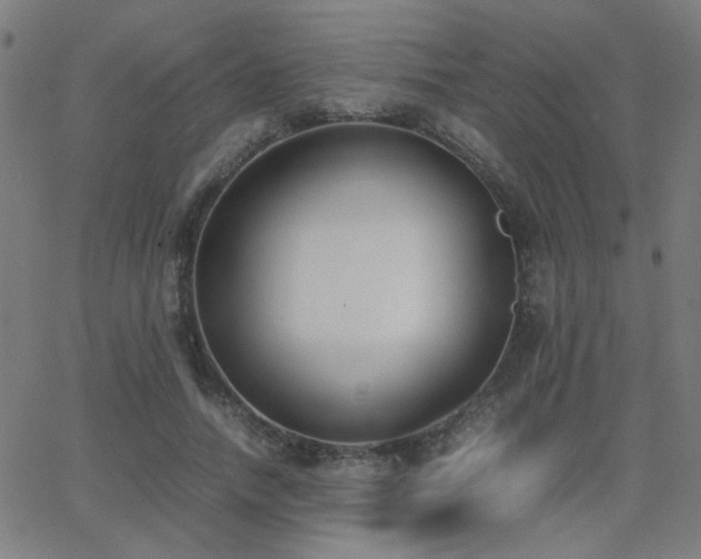 X0000062850738200601131349