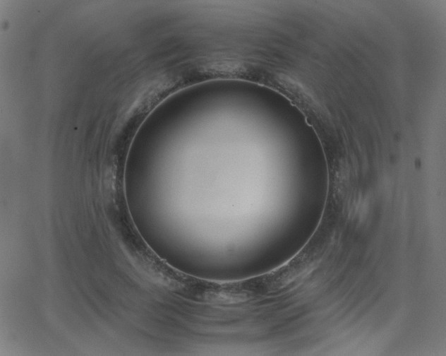 X0000062850739200601131349