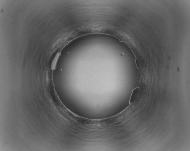 X0000062850740200601131349