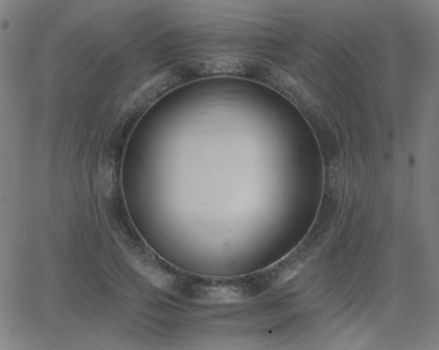 X0000062850741200601131349