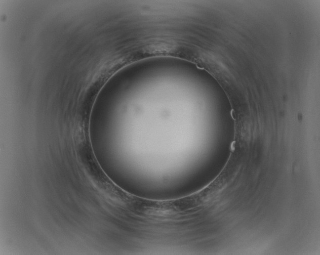 X0000062850743200601131349