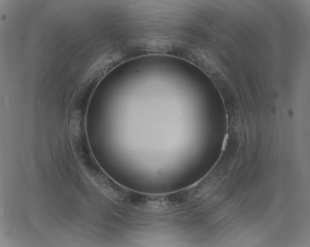 X0000062850744200601131349