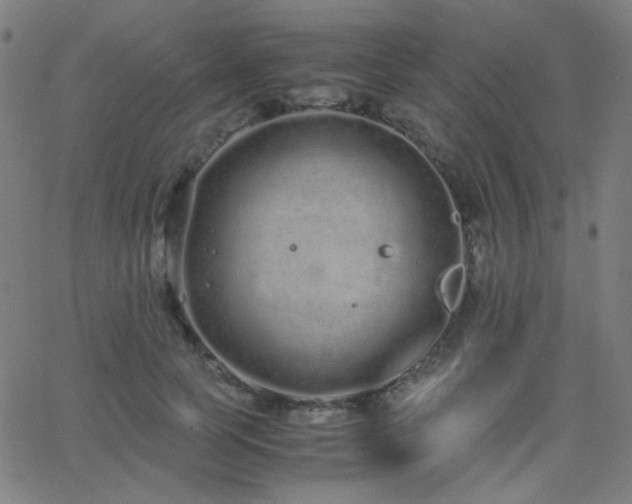 X0000062850745200601131349