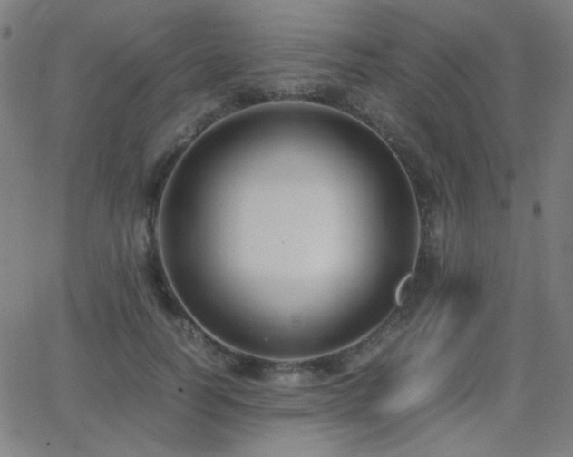 X0000062850746200601131349