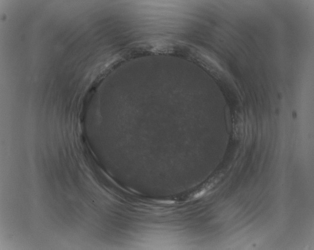 X0000062850748200601131349