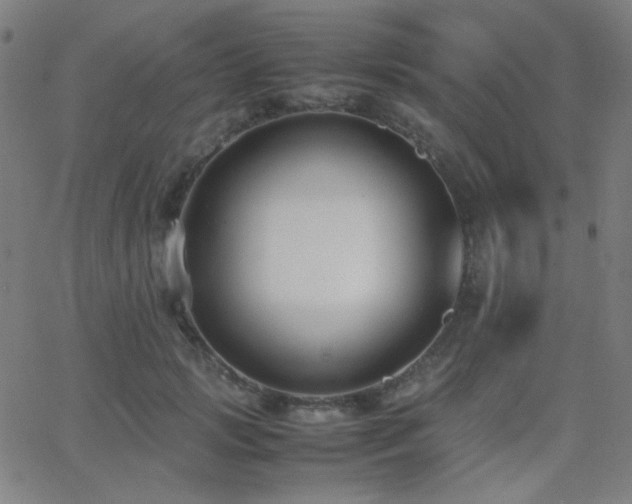 X0000062850749200601131349