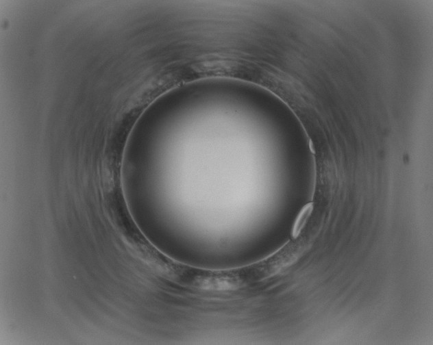 X0000062850751200601131349