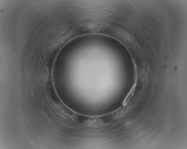 X0000062850752200601131349