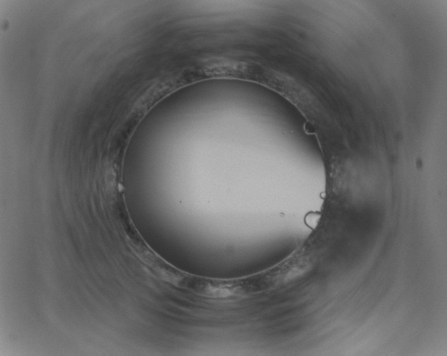 X0000062850753200601131349