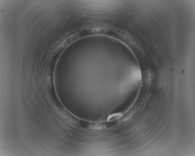 X0000062850754200601131349