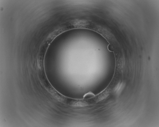 X0000062850755200601131349