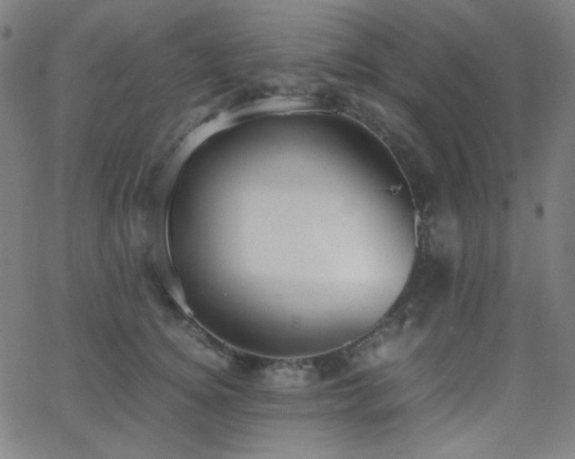 X0000062850756200601131349