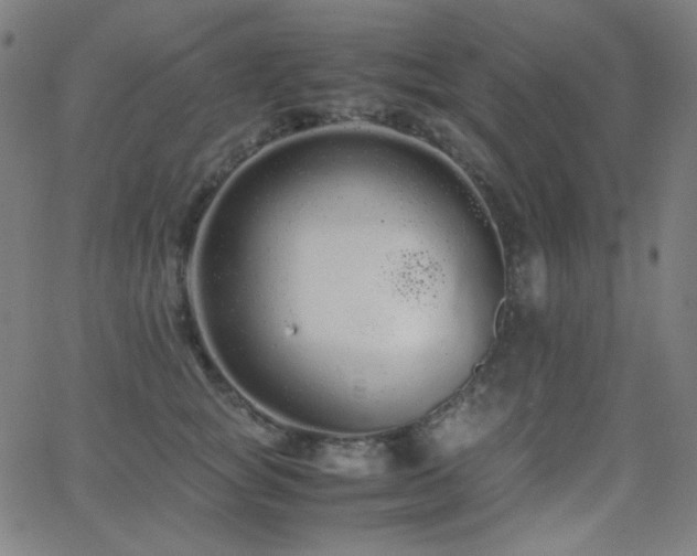 X0000062850757200601131349