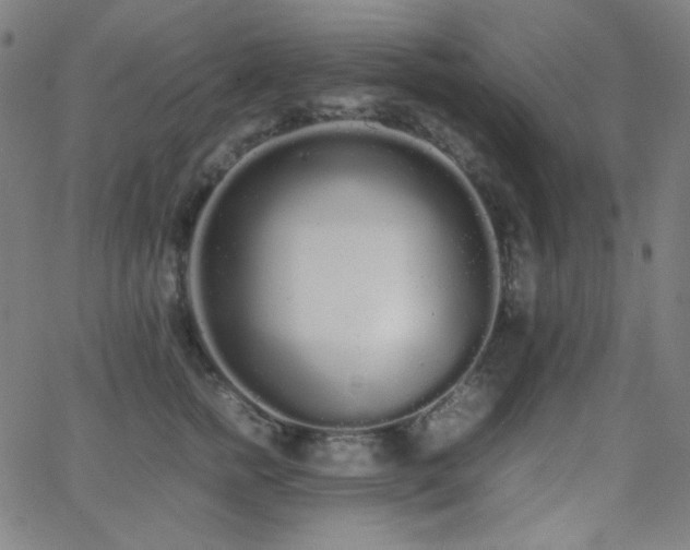 X0000062850758200601131349