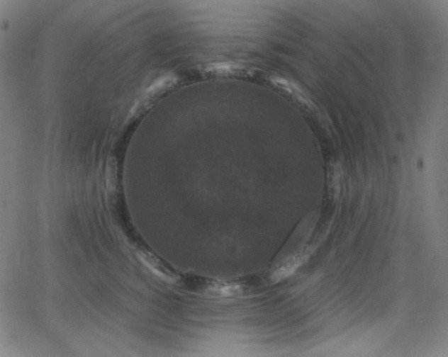 X0000062850760200601131349