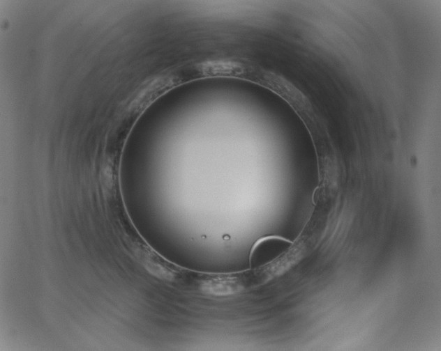 X0000062850761200601131349