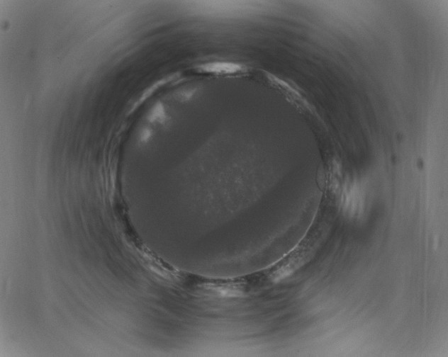 X0000062850763200601131349