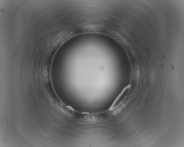 X0000062850764200601131349