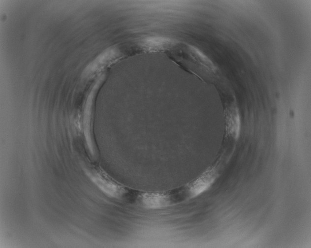 X0000062850766200601131350