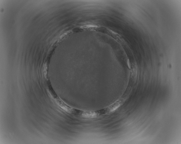 X0000062850767200601131350