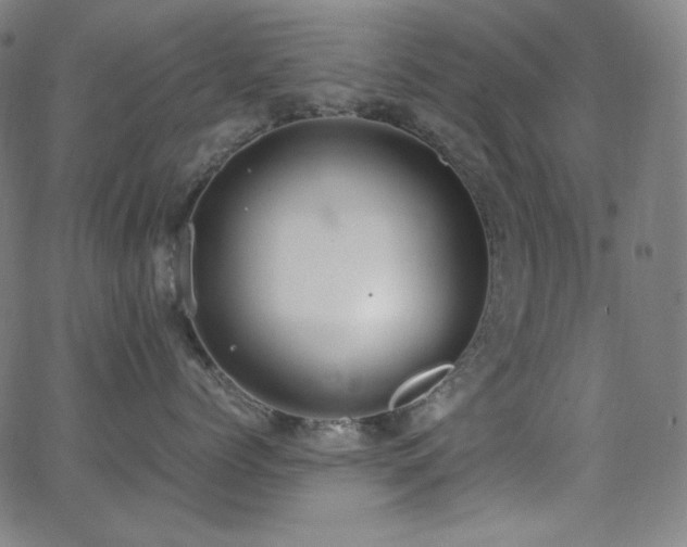 X0000062850768200601131350