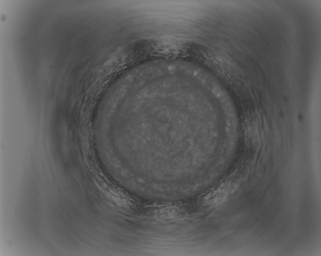 X0000062850769200601131349