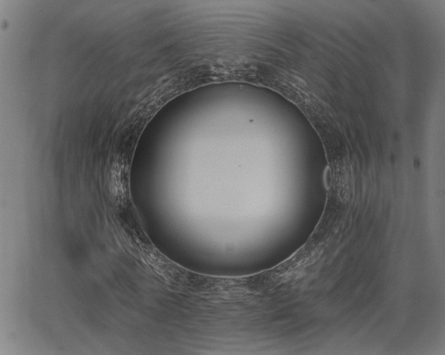 X0000062850770200601131349