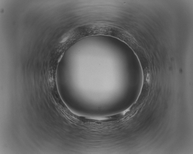 X0000062850771200601131349